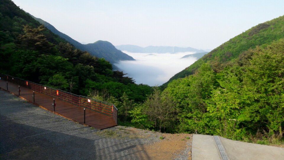 밀양 도래재별빛마을캠핑장