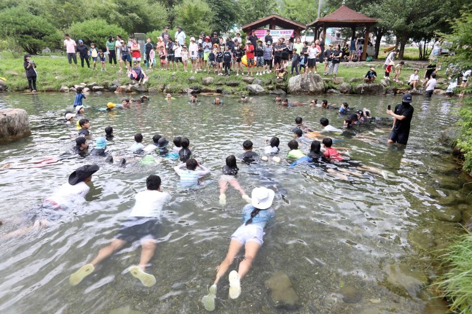 2025 평창 더위사냥 축제 - 무더위를 날릴 최고의 여름 축제! 관련 사진