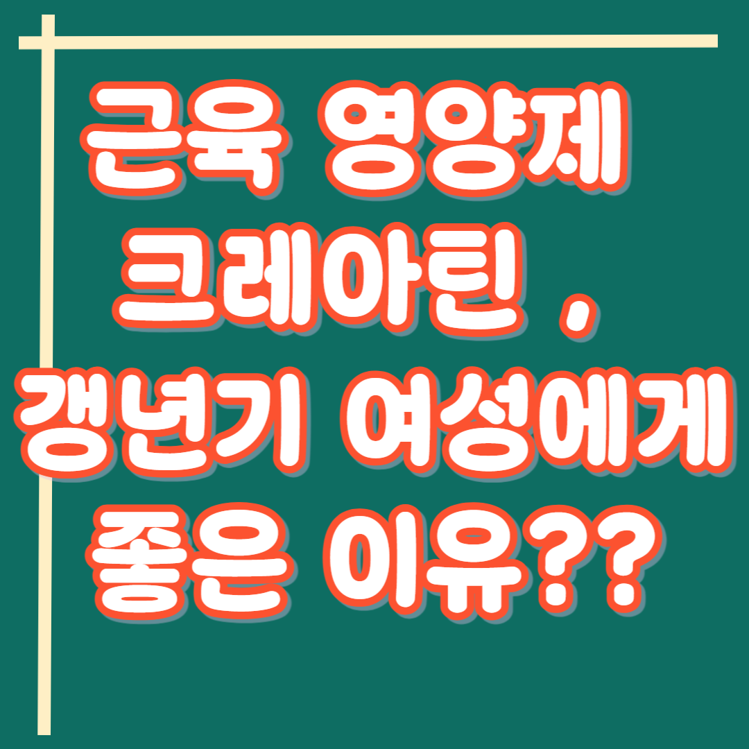 근육 영양제 크레아틴 , 갱년기 여성에게 좋은 이유는?? 제품추천까지 정리