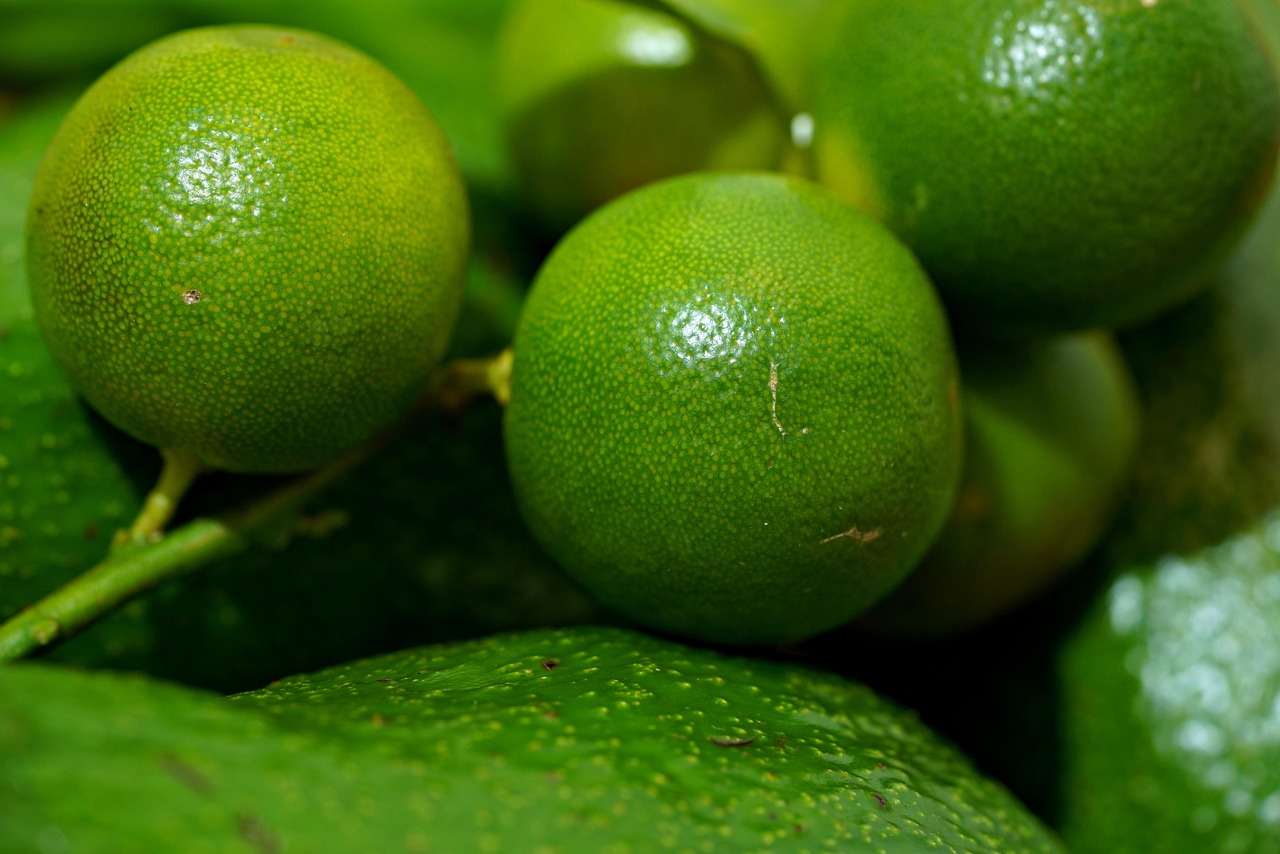 유즈코쇼 추천 관련 사진