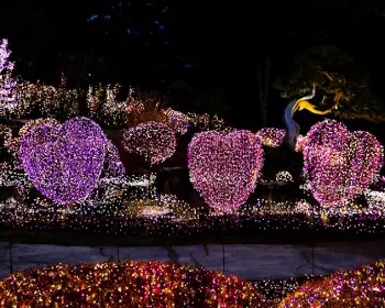 아침고요수목원 오색별빛정원전_8