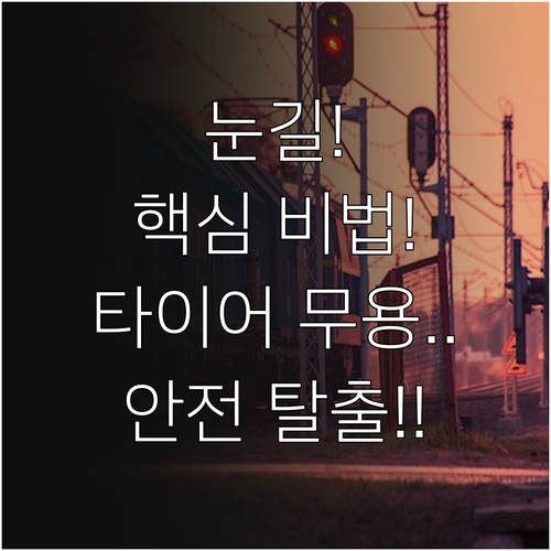 윈터타이어도 소용 없다면 눈길 언덕 ..