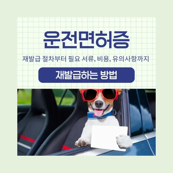 운전면허증 재발급