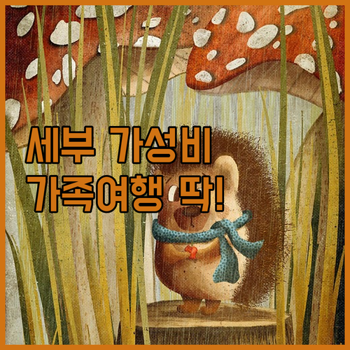 가족 여행객 주목 세부 가성비 호텔 ..
