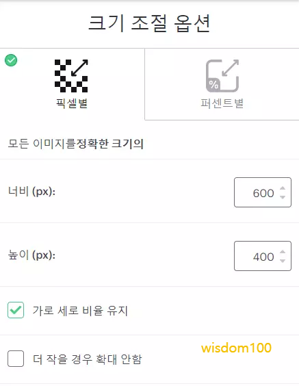 크기 조절 옵션 픽셀별
