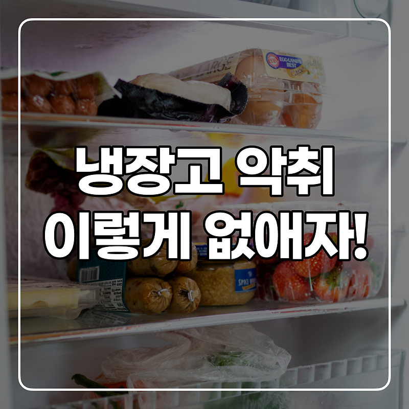 냉장고 악취 없애는 법