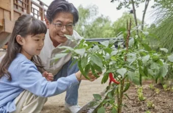 텃밭 가꾸기 모종 선택 파종 시기 물주기 비료 초보 가이드_3