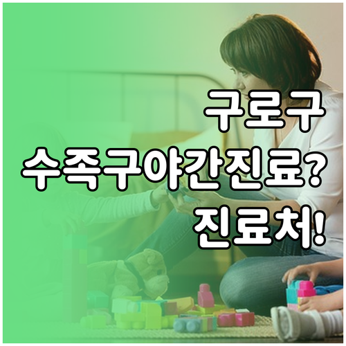 서울 구로구 수족구 야간 진료 병원 ..