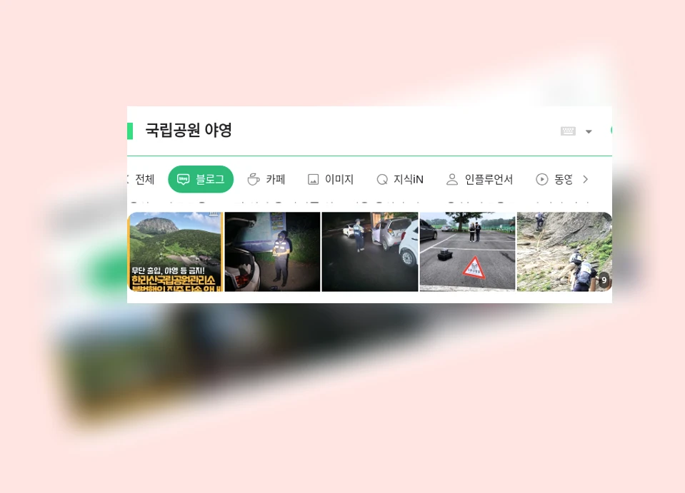 국립공원 야영_1_subsection