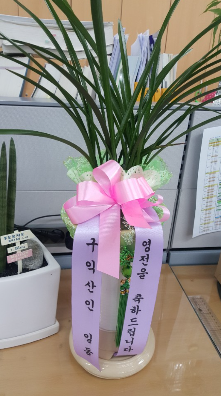 배칠수 꽃배달 실사용자 내돈내산 근조화환