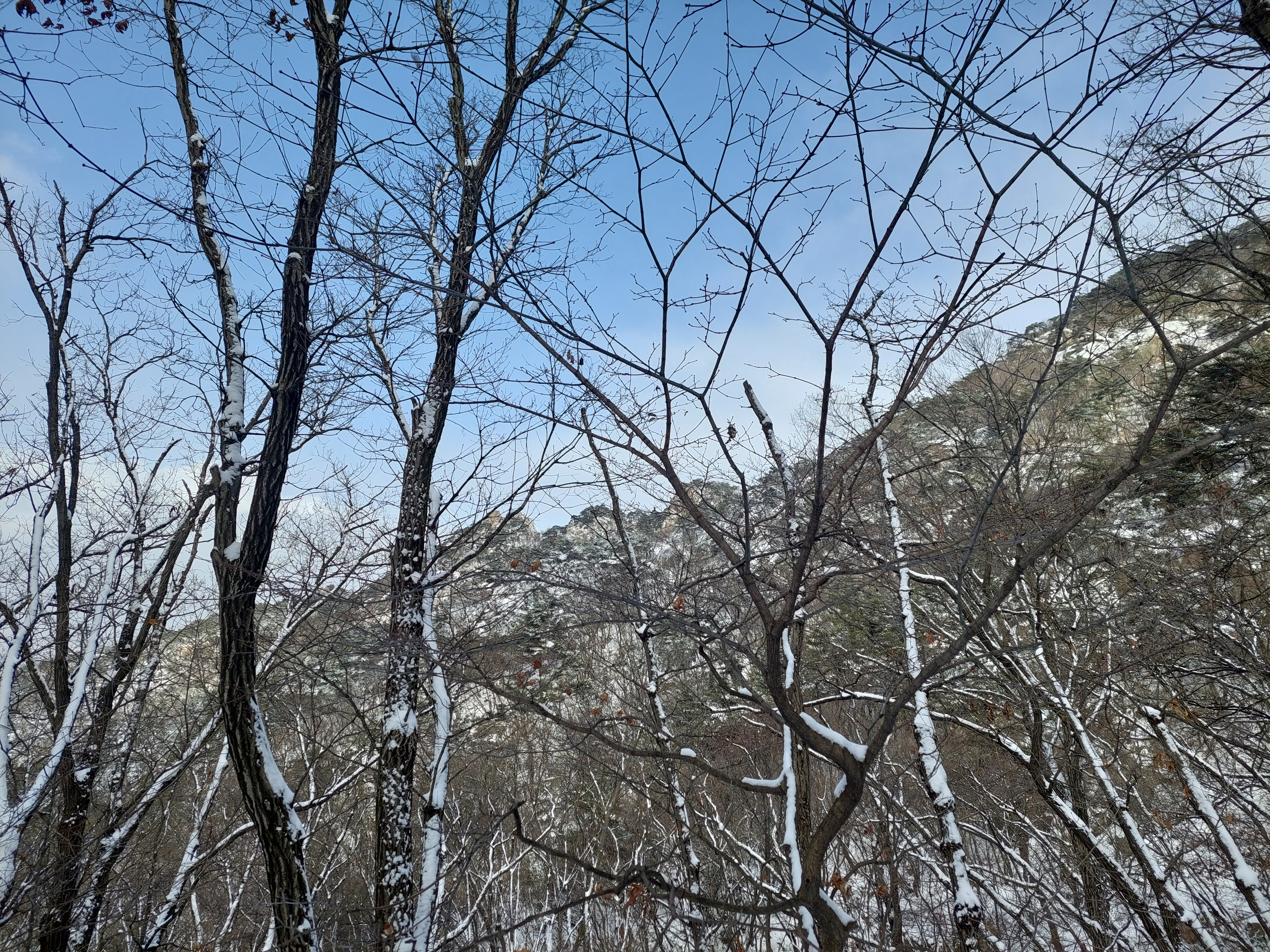 관악산