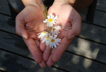 고향사랑기부제 신청방법 혜택 총정리(3만원 무료 답례품과 연말정산 꿀팁!)
