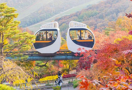 화담숲 모노레일 예약하러 가기