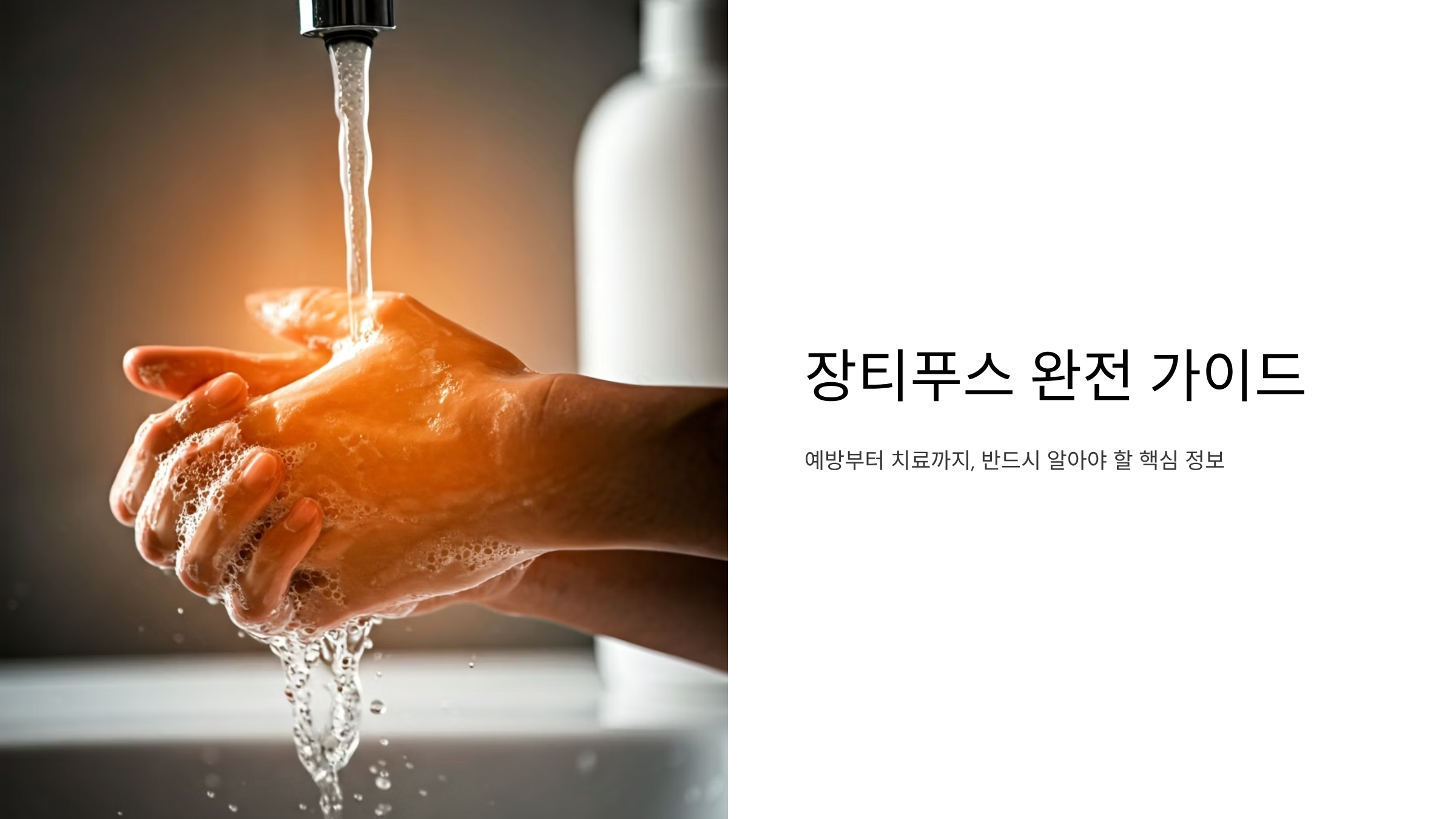 장티푸스 증상부터 예방까지, 감염 전 반드시 알아야 할 것들 🦠