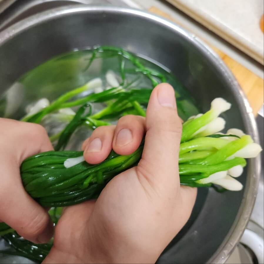 쪽파오징어숙회 쪽파무침 쪽파강회 쪽파 데치기 쪽파데침 쪽파숙지 쪽파오징어말이 쪽파오징어강회 쪽파 초고추장 쪽파 숙회 쪽파 숙회만들기 쪽파숙회 만드는법 달달하니 입맛없을 때 최고 아빠표 초간단 쪽파말이 쪽파숙회 살짝 데치기만 하면 맛있는 쪽파숙회 만들어 지지요 쪽파 말이 파말이 파강회 파숙회 게맛살 쪽파 말이