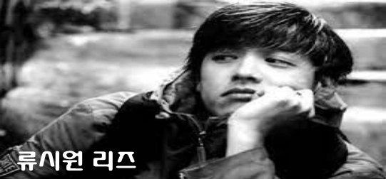 류시원 리즈 