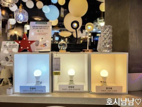 하남 프로라이팅 쇼룸 조명 색상 비교존 – 주광색·주백색·전구색 전시