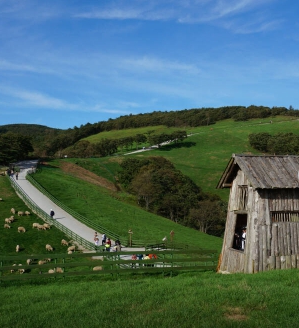 대한민국 숙박세일페스타
