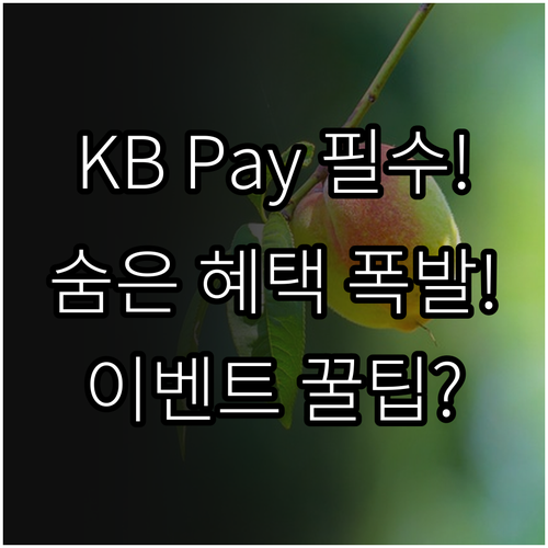 KB국민카드 바로가기 KB Pay 앱..