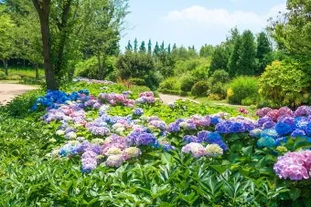 7월 국내 여행지 추천 BEST 리스트_27