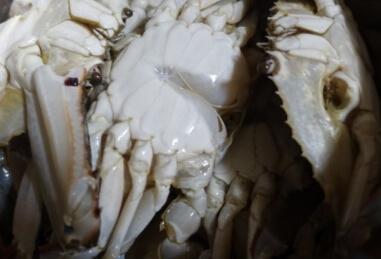 간장게장 담그는법