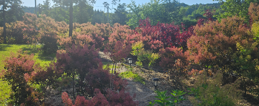 특색있고 아름다운 민간 정원 30선 추천 여행 - 21. 보성 성림정원