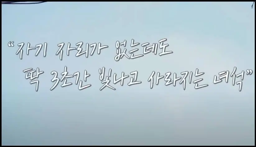 노란-신호등-설명