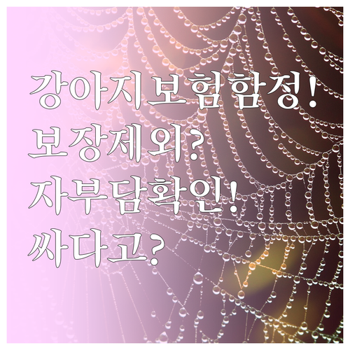 싼 강아지 보험료의 함정 보장 제외와..