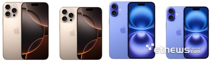 아이폰16 시리즈. 왼쪽부터 프로맥스, 프로, 플러스, 일반형