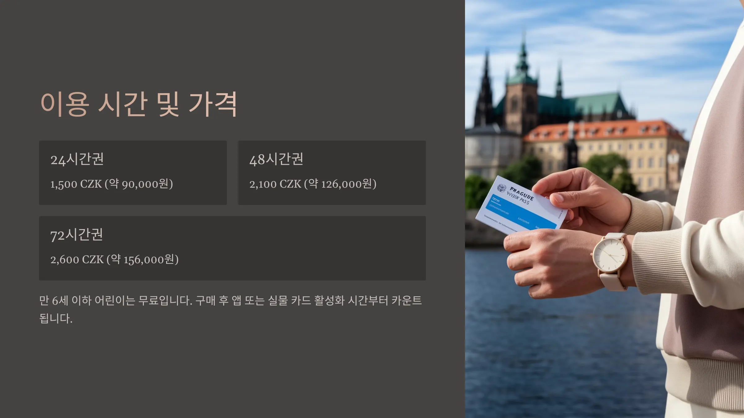 비지터패스 이용 시간별 가격