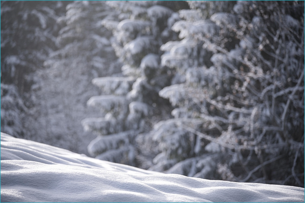 국세 환급금 조회방법