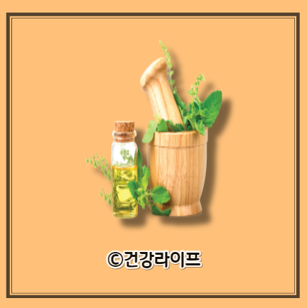 홍화씨 효능 10가지&#44; 홍화씨 먹는법 및 부작용