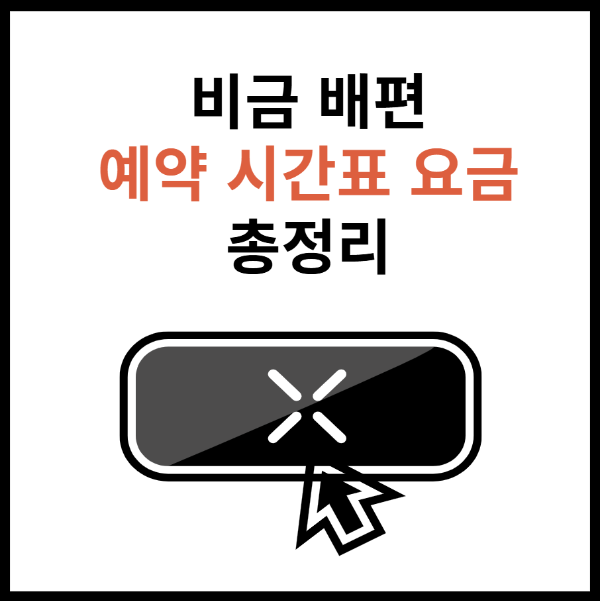 비금도-배편-예약
