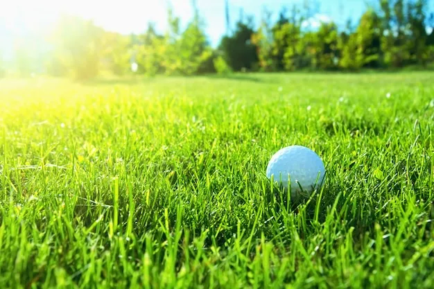 필리핀 골프 여행 | 다양한 골프장과 할인 부킹 방법 | 열대 낙원에서의 완벽한 라운딩