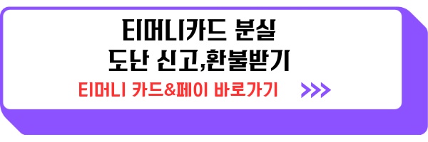 티머니카드 분실 신고 환불 사용내역 조회 티머니교통카드