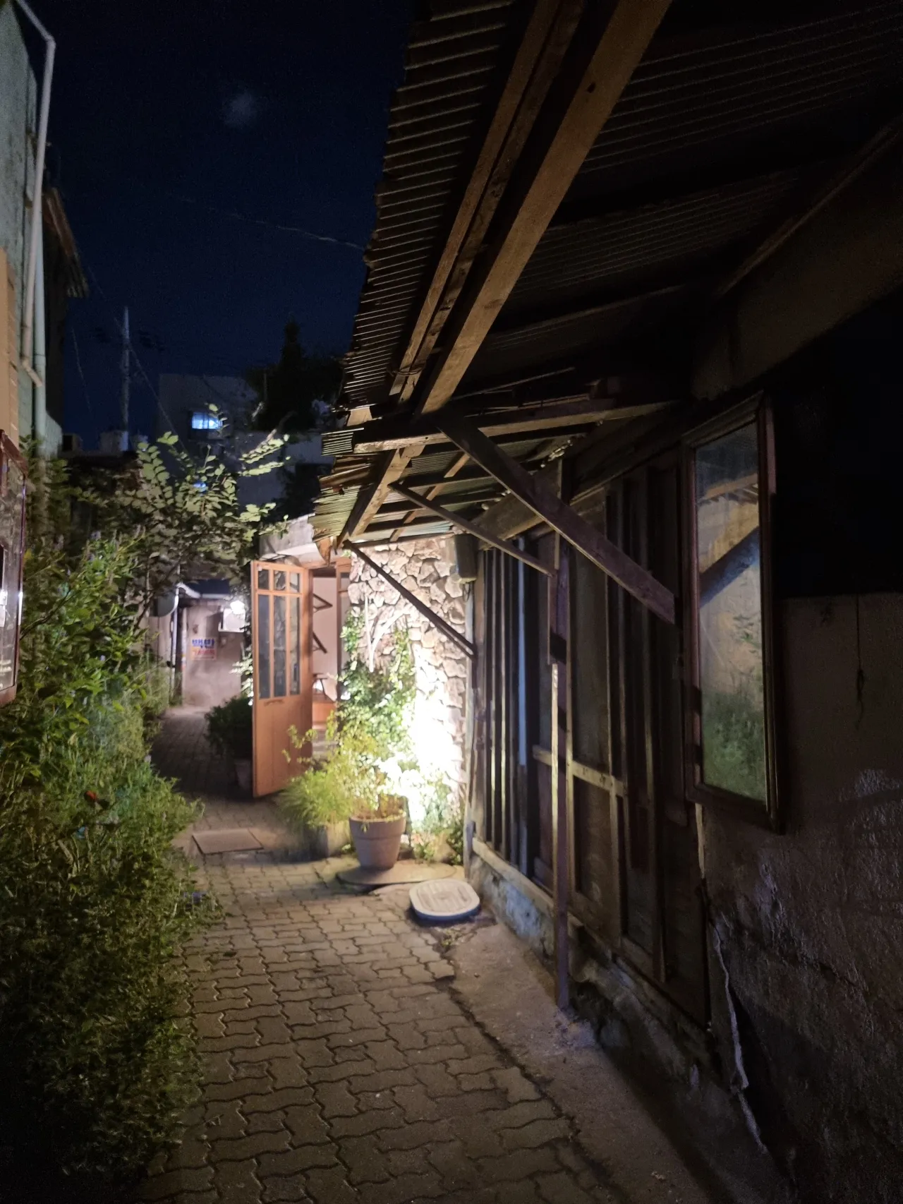어두운 골목-화분-아래-조명-빛남