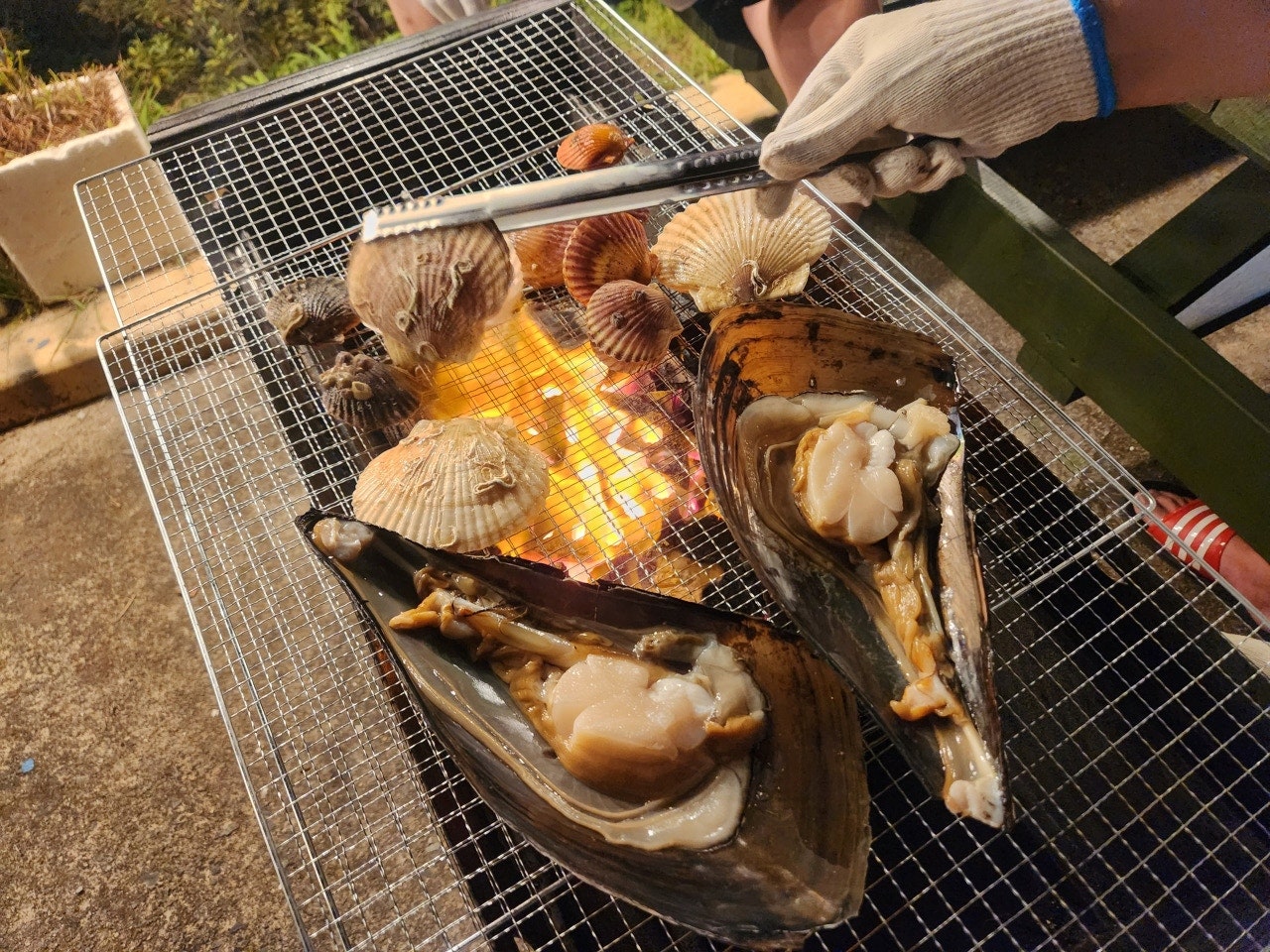 태안가볼만한곳