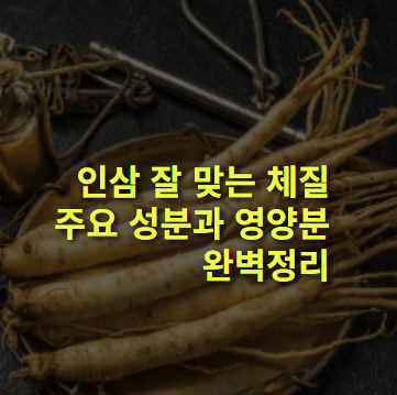 인삼과 건강에 대해 알아보기! 잘 맞는 체질은? 영양, 주요 성분.