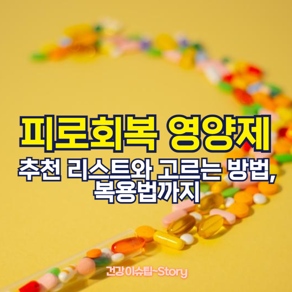 피로회복 영양제