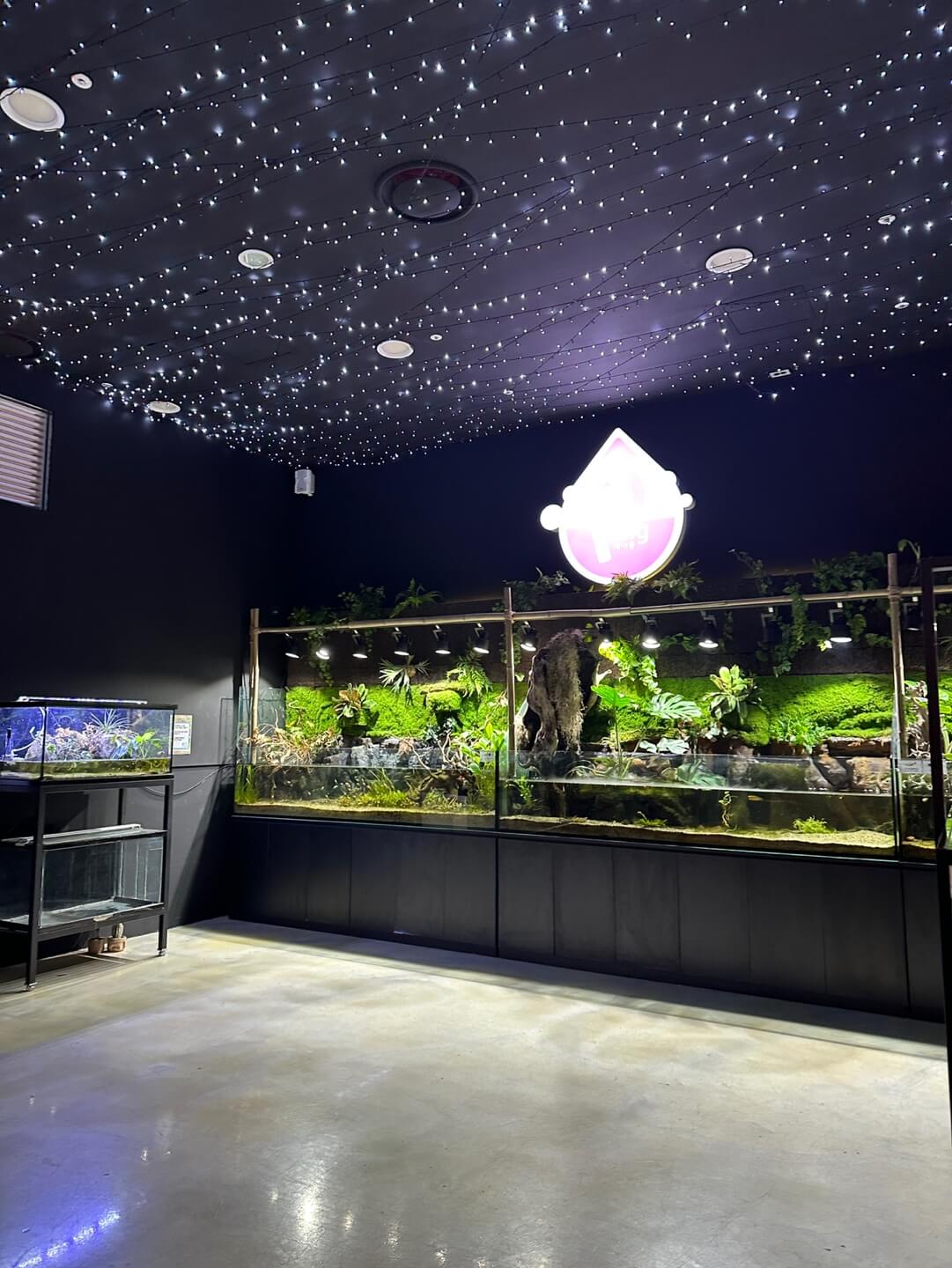 하이브 패밀리 테마파크 실내 수족관 모습