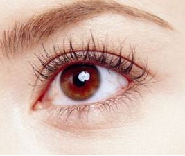 비문증 치료방법