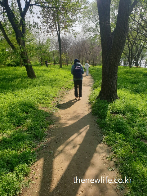 A person walking barefoot on a shaded forest dirt path at Amsa Ecological Park. Barefoot contact with the earth here stimulates the foot muscles and improves lower limb blood circulation.-암사 생태공원 숲속 흙길에서 맨발로 걷고 있는 사람의 모습. 땅과의 접촉이 발바닥 근육을 자극하며 하체 혈액순환을 도와주는 장면.