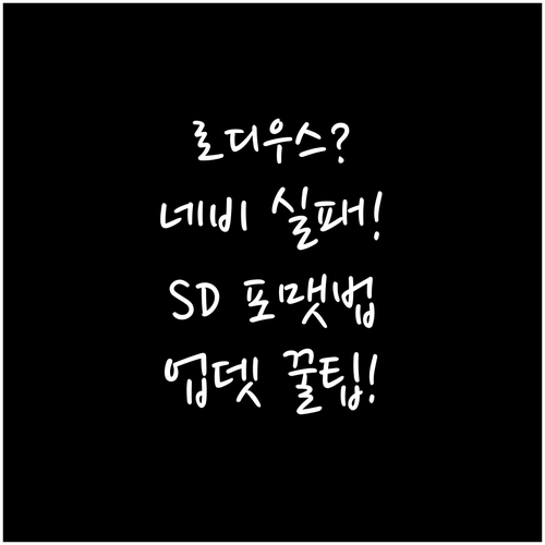 로디우스 네비 업데이트 실패 방지 S..