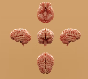 편두통 원인 증상 없애주는 간단한 습관 5가지