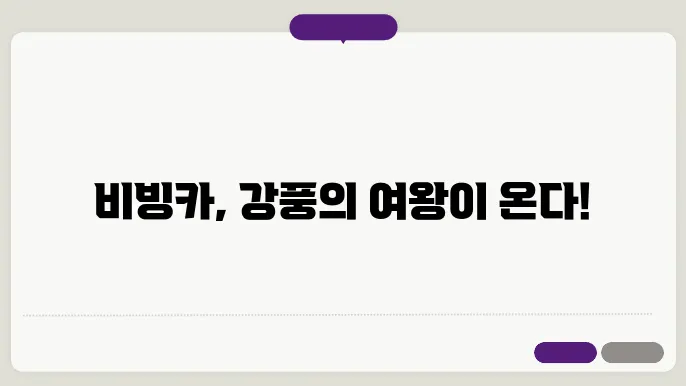 13호 태풍 비빙카