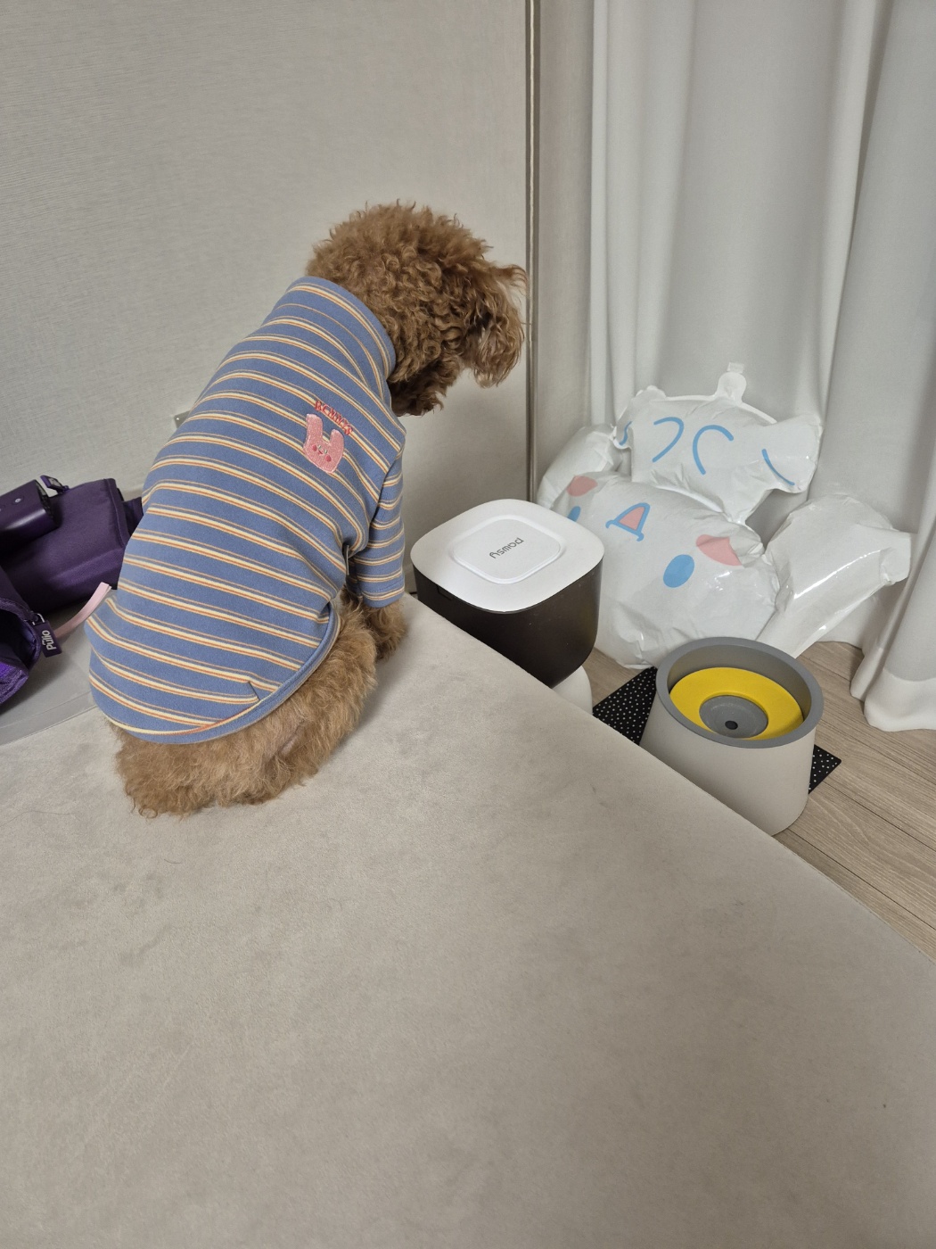 강아지 식습관 관리