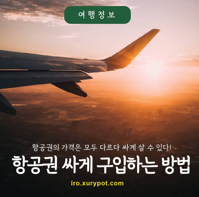 비행기