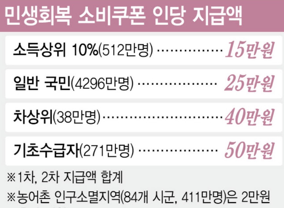 민생지원금