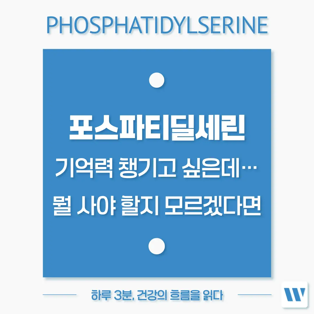 포스파티딜세린 추천 영양제