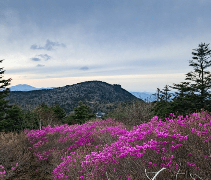 지리산 봅철 야생화 탐방 추천 코스 및 탐방 수칙